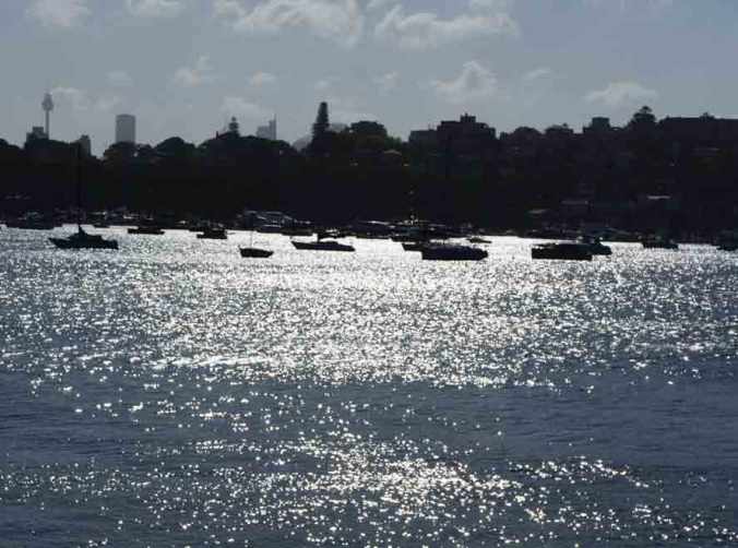 Rose Bay at dusk