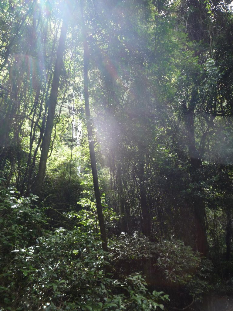 Blue Mountains sun light