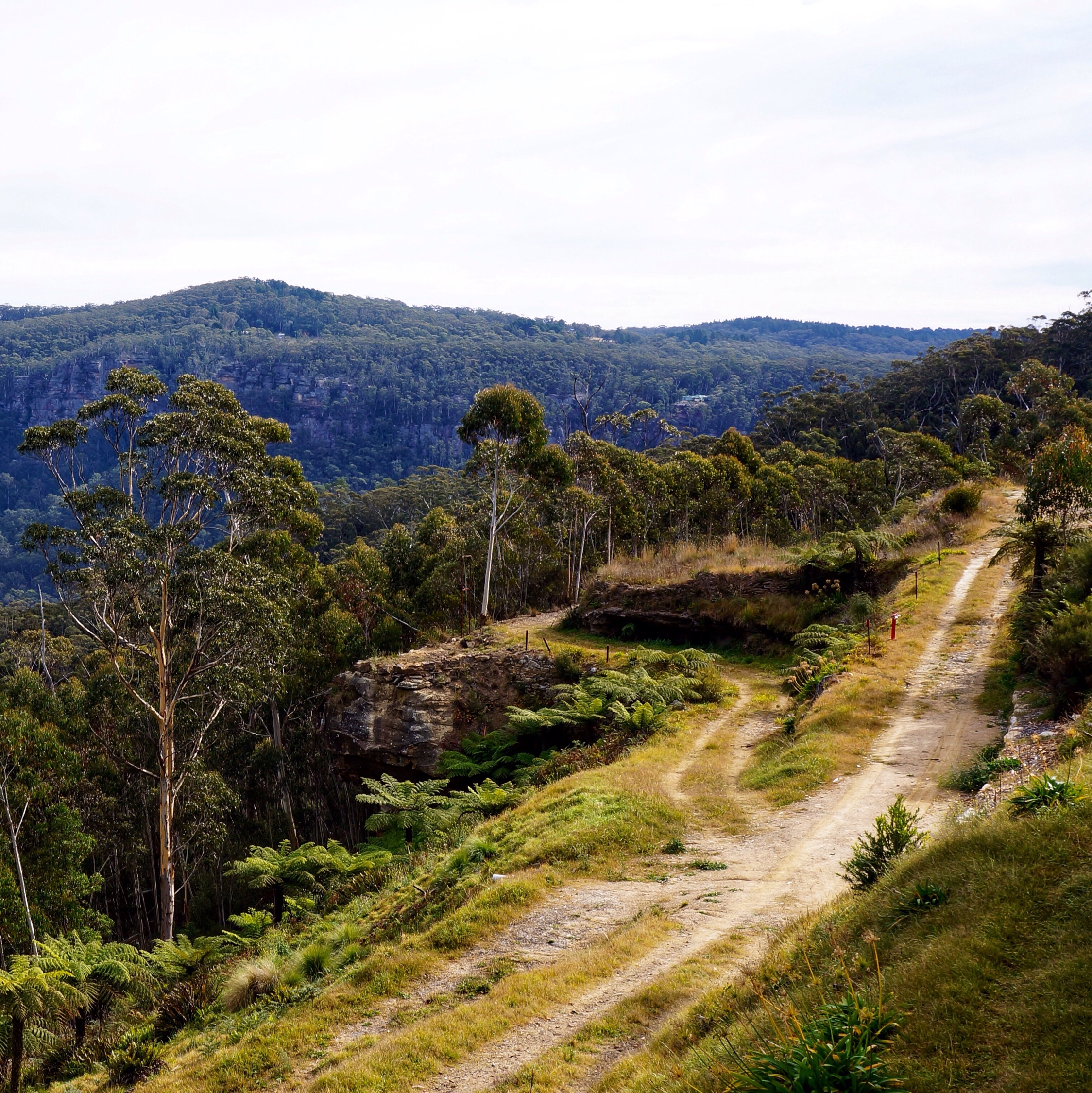 Path overlooking Megalong Valley, Medlow Bath, NSW, Australia